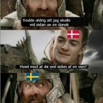 Svensk och dansk konversation