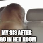 crap i'm cooked | MY SIS AFTER I GO IN HER ROOM | image tagged in gifs,funny,dog,sisters,memes,meme | made w/ Imgflip video-to-gif maker
