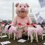 EPSTEIN EPSTEIN EPSTEIN