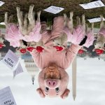 EPSTEIN EPSTEIN EPSTEIN