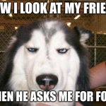 Annoyed Dog | HOW I LOOK AT MY FRIEND; WHEN HE ASKS ME FOR FOOD | image tagged in annoyed dog | made w/ Imgflip meme maker