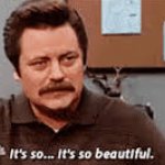 ron swanson its so beautiful