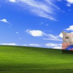 Chip cat in memeland