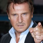 Liam Neeson Defender