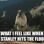 Teacher humor Stanley’s | WHAT I FEEL LIKE WHEN A STANLEY HITS THE FLOOR | image tagged in gifs,teacher meme | made w/ Imgflip video-to-gif maker