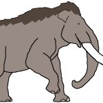 Female Colombian Mammoth (Paleoverse + EOIverse)