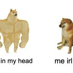 me | me in my head; me irl | image tagged in memes,buff doge vs cheems | made w/ Imgflip meme maker