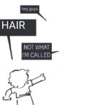 air is hair | HAIR | image tagged in hey guys - not what i'm called | made w/ Imgflip meme maker