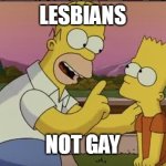 Lesbians Bart Not Gay | LESBIANS; NOT GAY | image tagged in homer so far | made w/ Imgflip meme maker