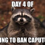 This kid lowkey annoying | DAY 4 OF; TRYING TO BAN CAPUTUNG | image tagged in evil genius racoon | made w/ Imgflip meme maker
