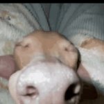 Nu'n to learn here *snores* | "WHY WON'T SCHOOL TEACH US ANYTHING USEFUL" MFS THE SECOND SCHOOL STARTS TEACHING THEM SOMETHING USEFUL: | image tagged in gifs,school | made w/ Imgflip video-to-gif maker