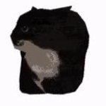 Maxwell gif GIF Template