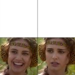 expectations vs. reality padme
