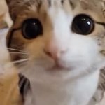 uegueguegueguegegueguegueg