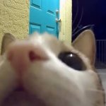 ue | image tagged in ue | made w/ Imgflip meme maker