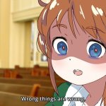 Wrong Things Are Wrong meme