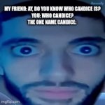 what Candace? Imagine Candace: | MY FRIEND: AY, DO YOU KNOW WHO CANDICE IS?
YOU: WHO CANDICE?
THE ONE NAME CANDICE: | image tagged in gifs,wake up wake up | made w/ Imgflip video-to-gif maker