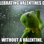 Oh well | CELEBRATING VALENTINES DAY; WITHOUT A VALENTINE. | image tagged in kermit window,sad,oh well | made w/ Imgflip meme maker