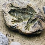 frog-fossil
