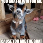 The GOAT Coach be like | image tagged in goat winner | made w/ Imgflip meme maker