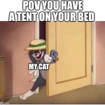 Cats | POV YOU HAVE A TENT ON YOUR BED; MY CAT | image tagged in tom sneaking in a room | made w/ Imgflip meme maker
