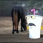 Horses Anus template