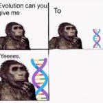 Evolution, can you give me x? To y?