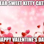 Valentine's Day Wishes | DEAR SWEET KITTY CATS:; HAPPY VALENTINE'S DAY | image tagged in lots of hearts background | made w/ Imgflip meme maker