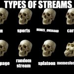 empty skulls (fixed textboxes) | TYPES OF STREAMS; MEMES_OVERLOAD; cars; sports; fun; splatoon; frontpage; random stream; memesforpeopl | image tagged in empty skulls fixed textboxes | made w/ Imgflip meme maker
