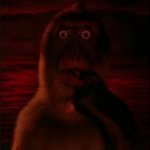 Scared Thinking Monkey