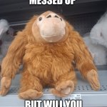 Munkie | I'M A LITTLE MESSED UP; BUT WILL YOU BE MY VALENTINE | image tagged in munkie | made w/ Imgflip meme maker