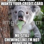 WHEN YOU REALIZE; THE “FREE TRIAL” NEEDS YOUR CREDIT CARD LIKE IT’S A HOSTAGE NEGOTIATION | WHEN YOU REALIZE YOUR "FREE TRIAL" WANTS YOUR CREDIT CARD; ME, STILL CHEWING LIKE I’M NOT ABOUT TO BE CHARGED $19.99 A MONTH: | image tagged in memes,surprised koala,your free trial of living has ended,subscribe,unsubscribe,credit card | made w/ Imgflip meme maker