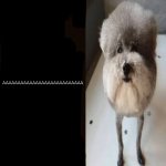 he made a statement blank | AAAAAAAAAAAAAAAAAAAAAAAAAAA | image tagged in he made a statement blank | made w/ Imgflip meme maker