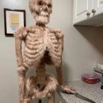 Furry Skeleton