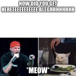 Fred durst yelling at cat | HOW DID YOU GET HEREEEEEEEEEEEE BLEGHHHHHHHH; *MEOW* | image tagged in fred durst yelling at cat | made w/ Imgflip meme maker