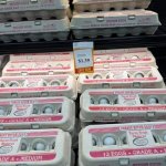 Egg prices under Trump