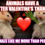 A hampsters life on Valentine's day | ANIMALS HAVE A BETTER VALENTINE'S THAN ME; ANIMALS LIKE ME MORE THAN PEOPLE | image tagged in my valentine,love wins,forever alone,pets | made w/ Imgflip meme maker