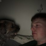 Dog talk but fixed template