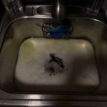 sorry, i peed in your sink