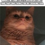 Pathetic Cat | WHEN AI, IN SPITE OF HAVING THE WHOLE INTERNET AT ITS DISPOSAL CAN'T FIND THAT ONE THING YOU'RE LOOKING FOR. | image tagged in pathetic cat | made w/ Imgflip meme maker