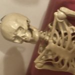 Shocked skeleton