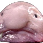 White Supremist propaganda