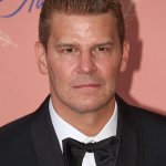 David Boreanaz
