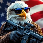 American Eagle AR 15