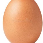 egg