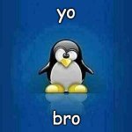 yo bro | yo; bro | image tagged in tux the penguin | made w/ Imgflip meme maker