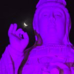 Indigo Buddha