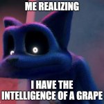 Catnap looking down and out | ME REALIZING; I HAVE THE INTELLIGENCE OF A GRAPE | image tagged in catnap looking down and out | made w/ Imgflip meme maker