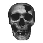 Gray Craked Skull