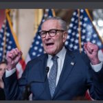 Cuck Scummer hissyfit